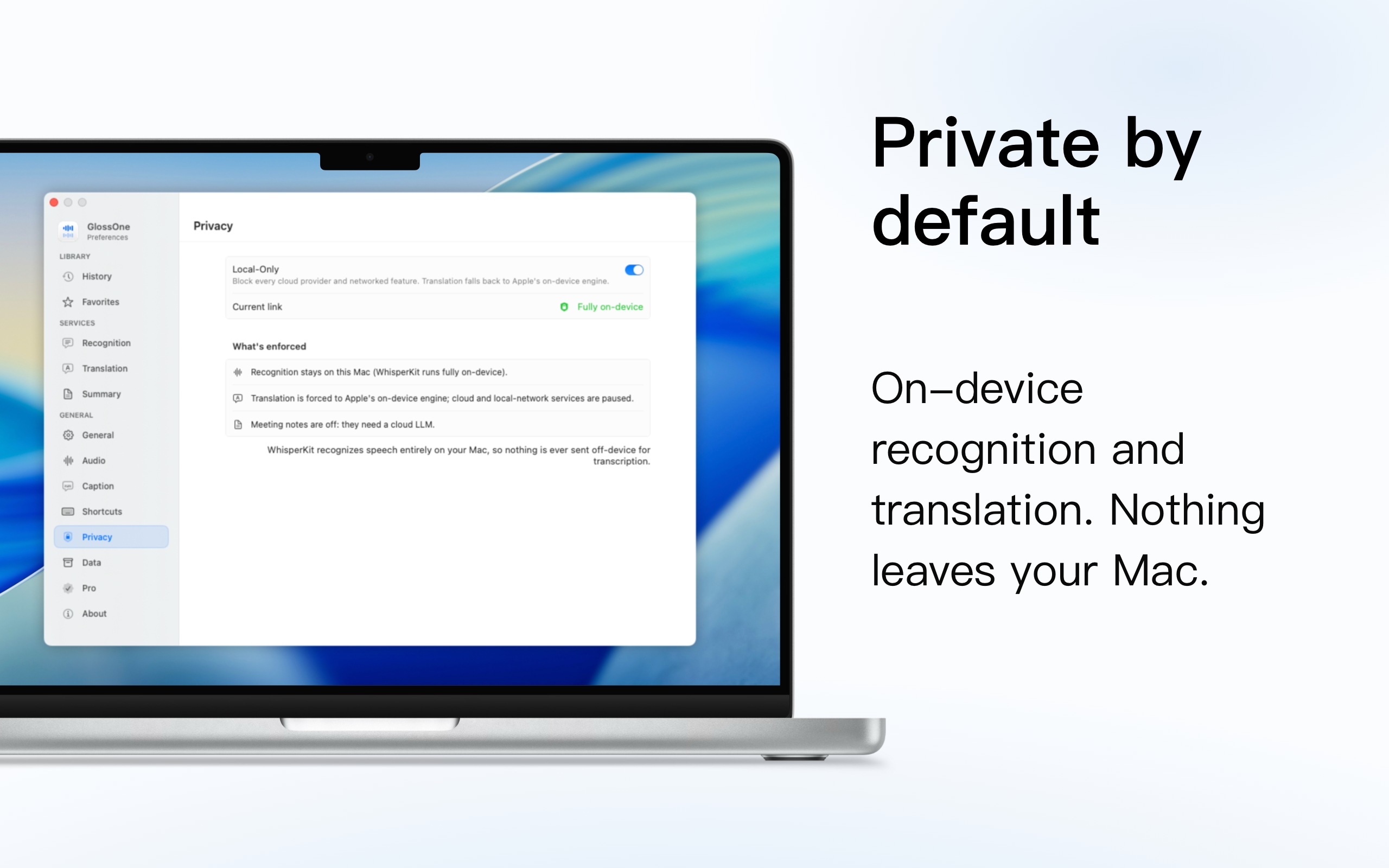 GlossOne privacy settings with on-device recognition and translation enforced.